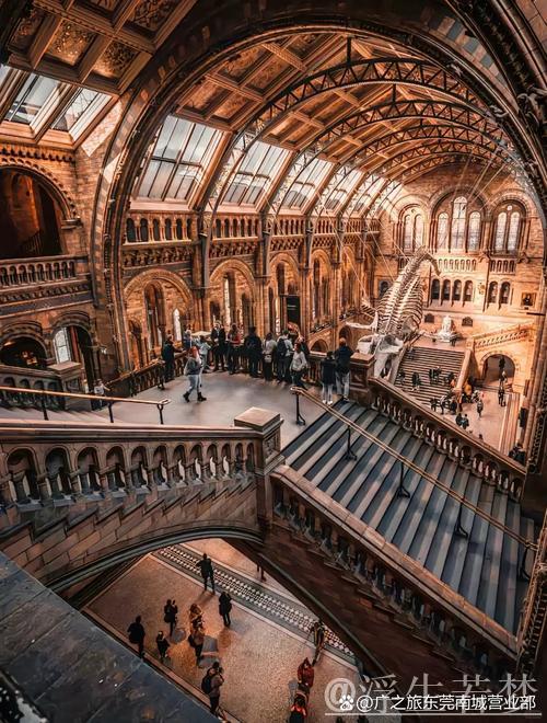 绿茵殿堂：探索建筑美学